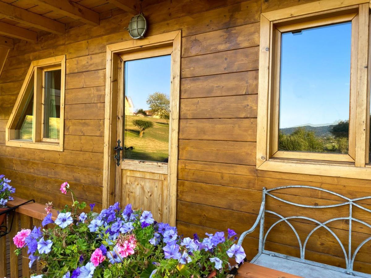 Agri Camp Dolomiti Apartamento Belluno Exterior foto
