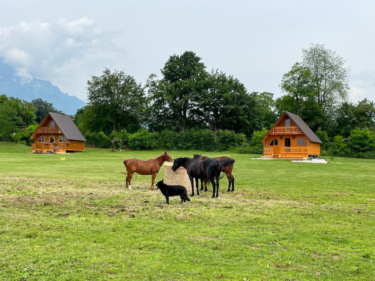 Agri Camp Dolomiti Apartamento Belluno Exterior foto