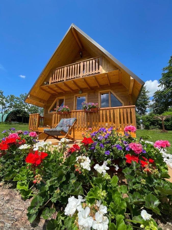Agri Camp Dolomiti Apartamento Belluno Exterior foto